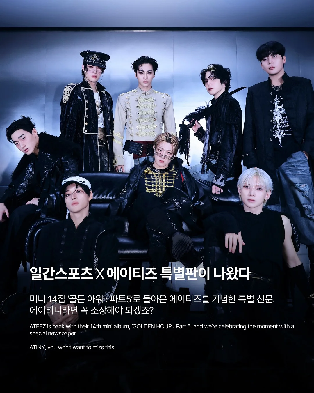 카네이션 도시락케이크 2