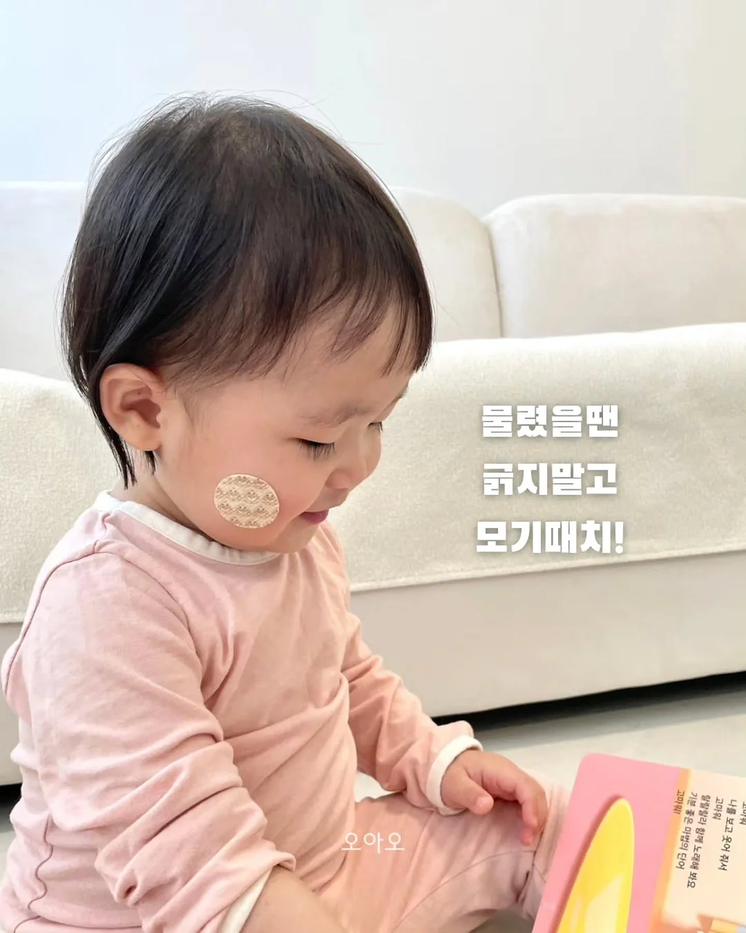 크레디뷰 신용등급 발급 12