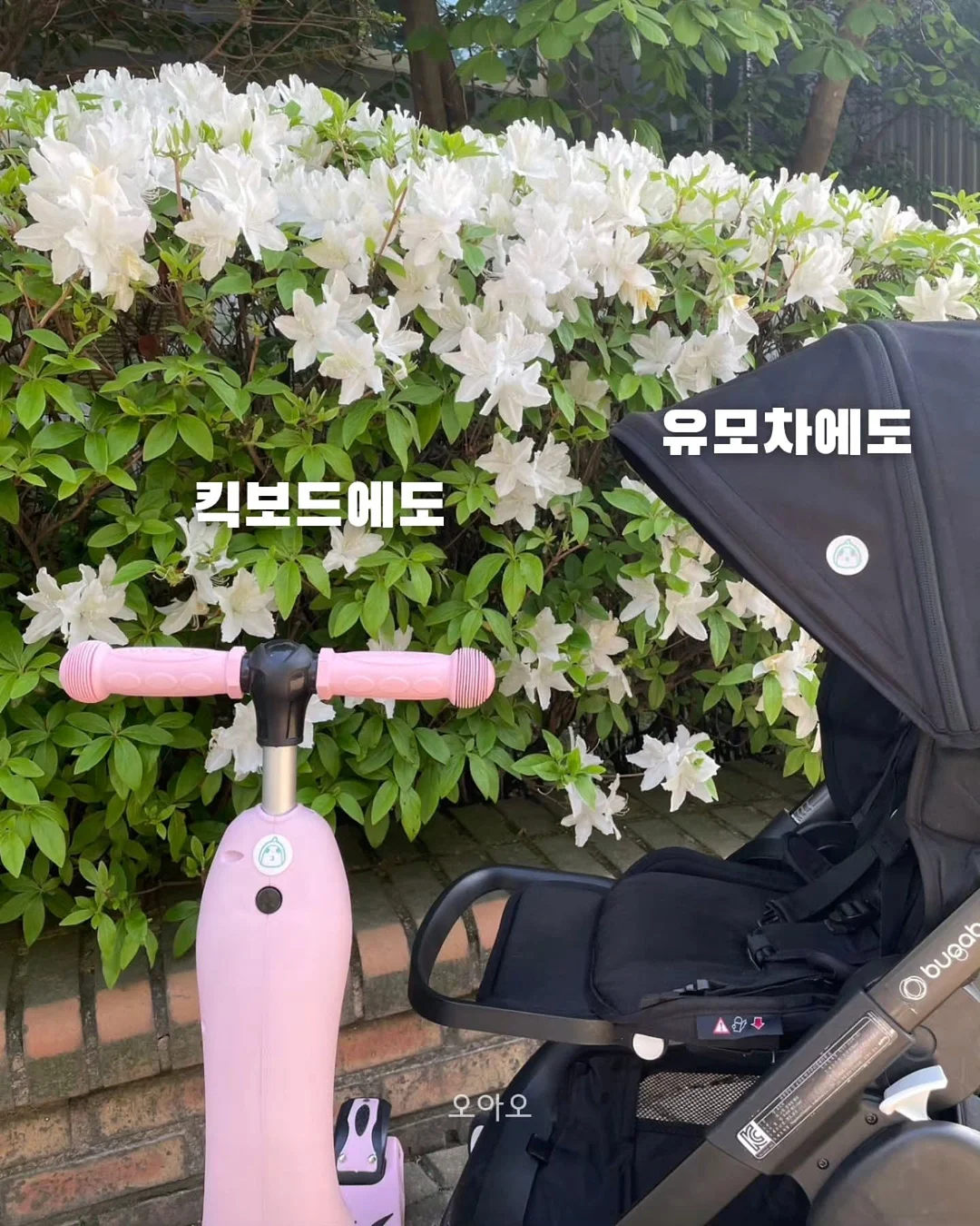 크레디뷰 신용등급 발급 3