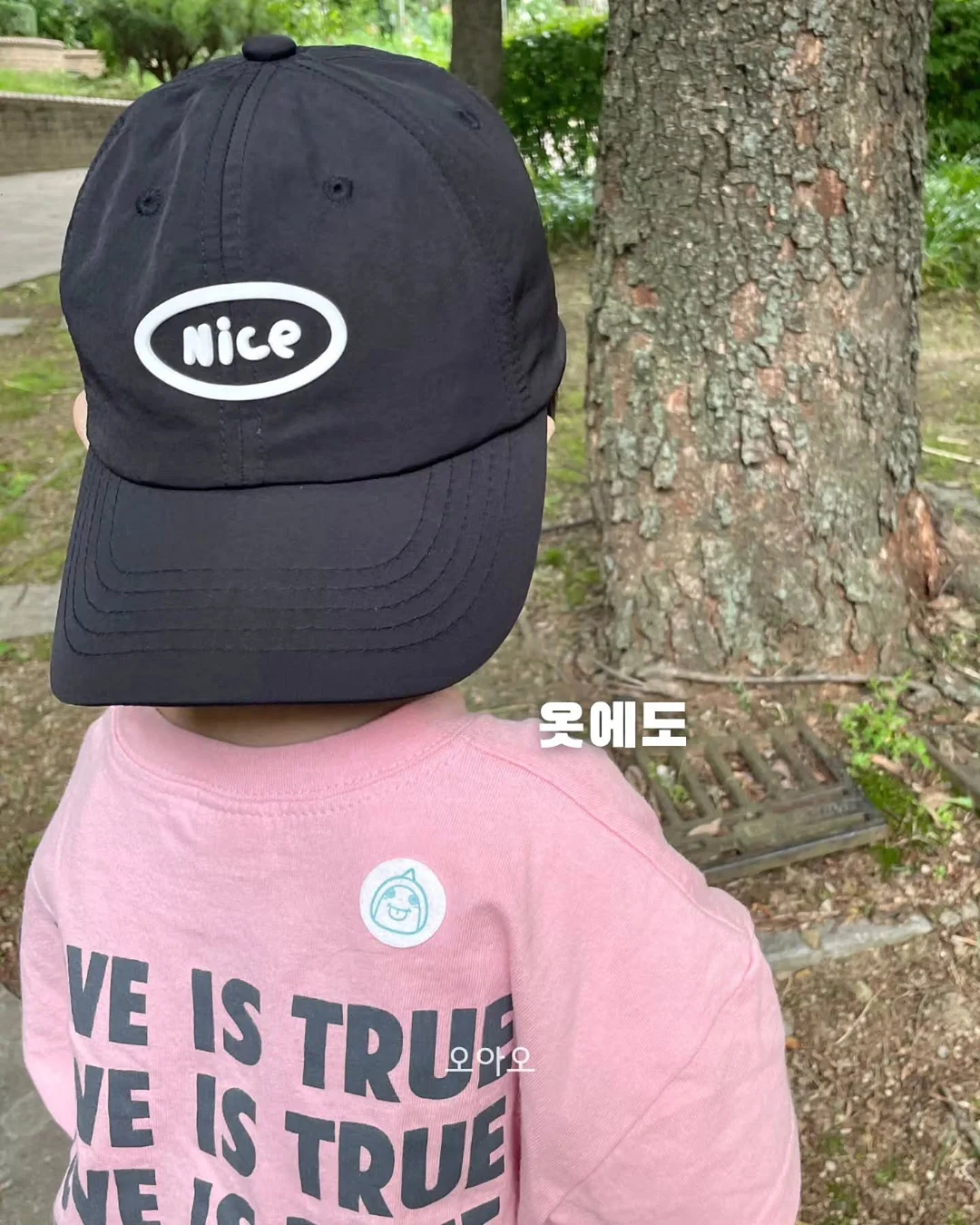크레디뷰 신용등급 발급 6