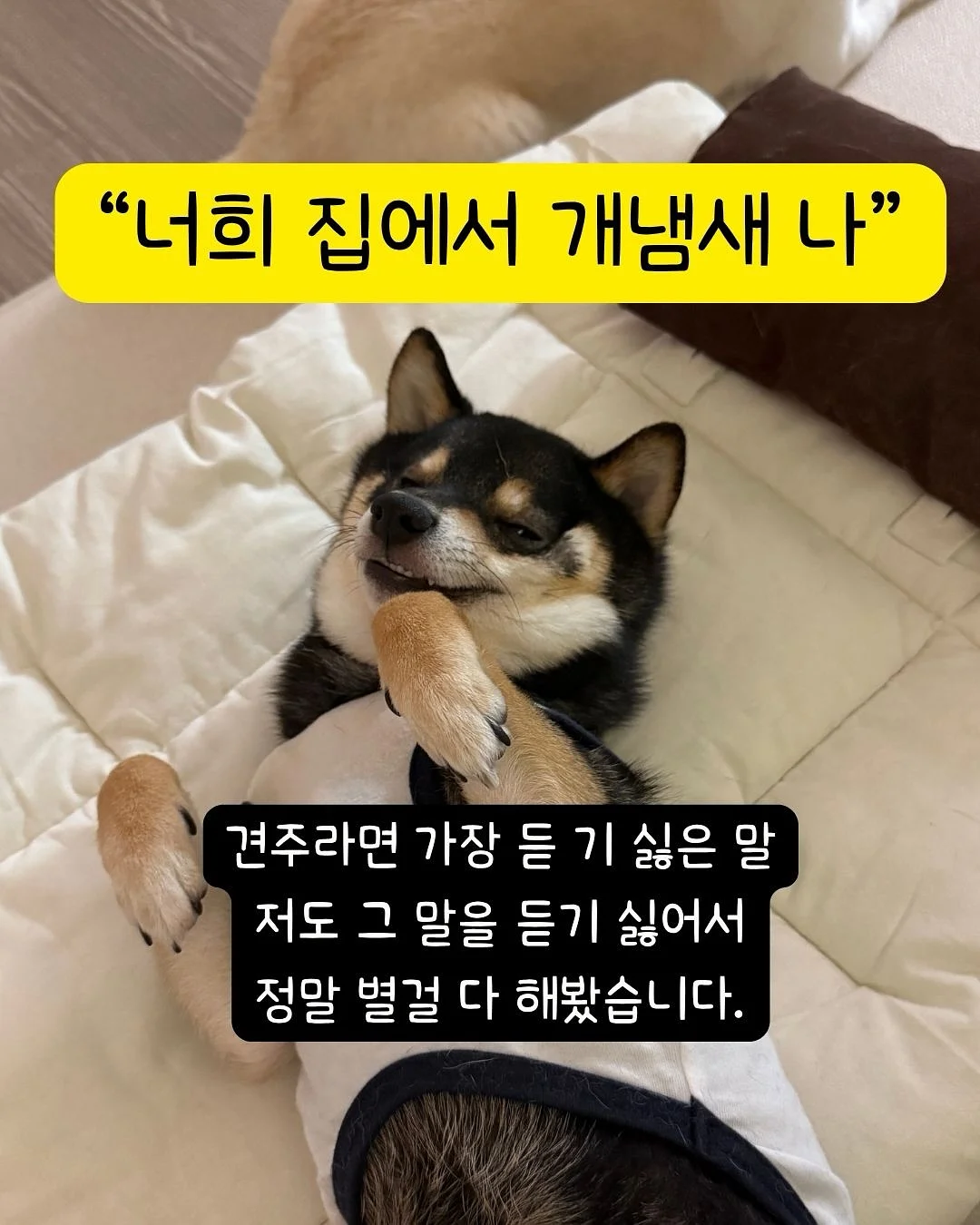 오랑쥬 비에누아 1