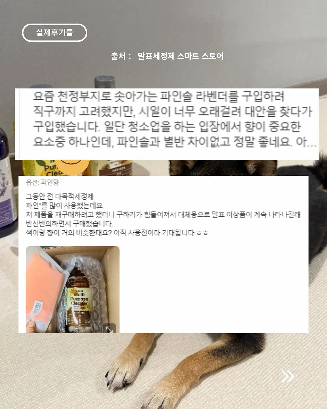 오랑쥬 비에누아 11