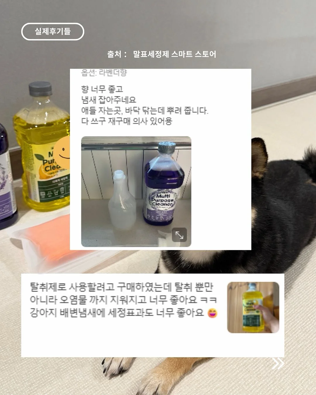 오랑쥬 비에누아 12