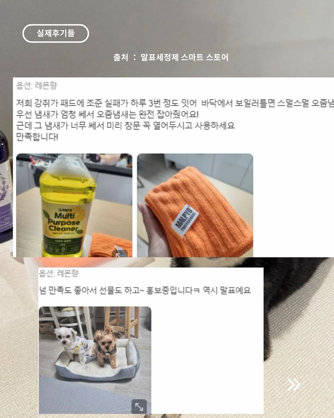 오랑쥬 비에누아 13