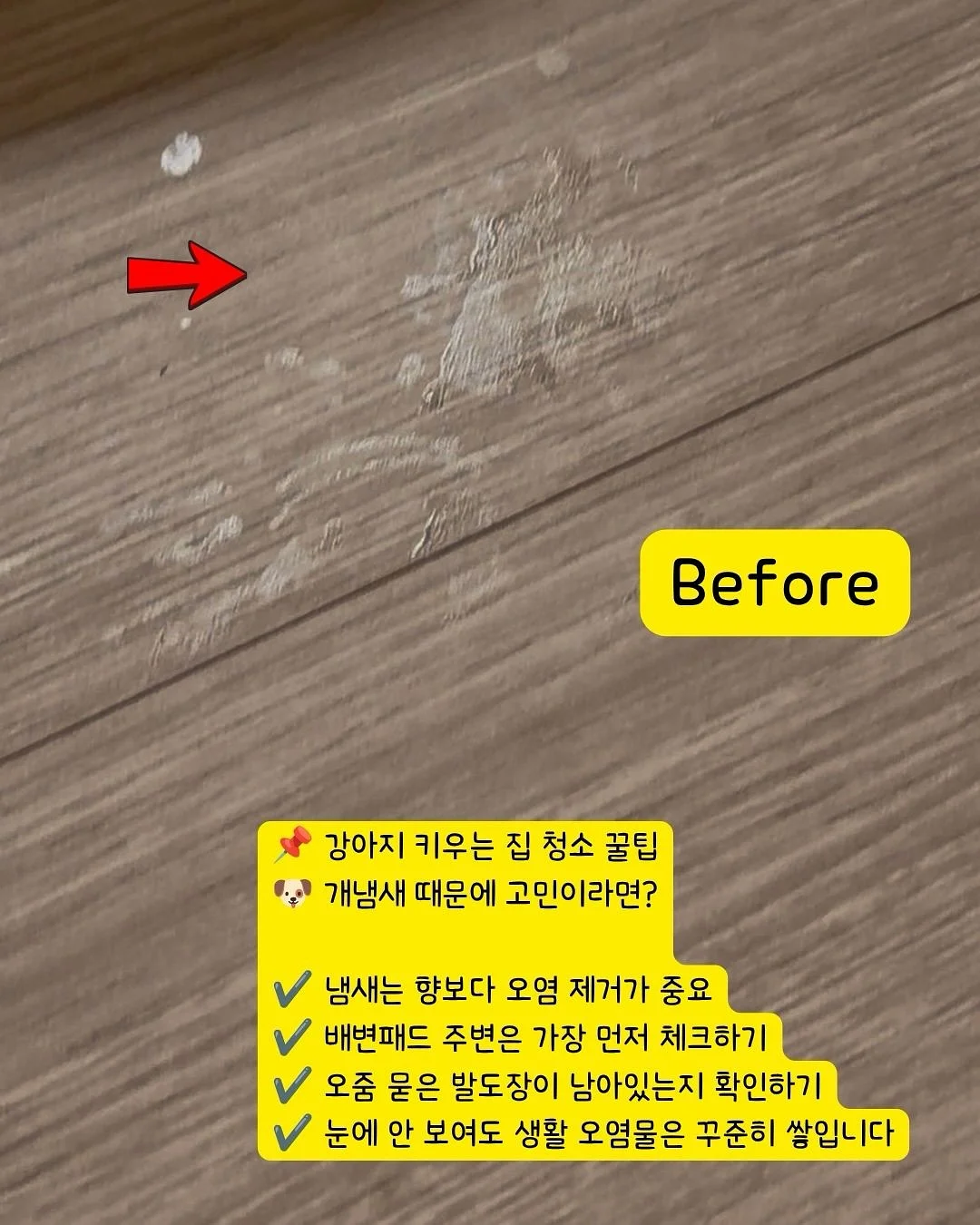 오랑쥬 비에누아 16