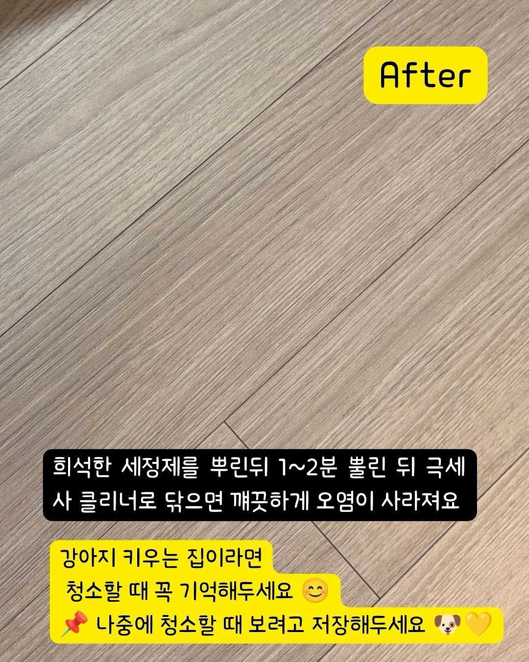 오랑쥬 비에누아 17