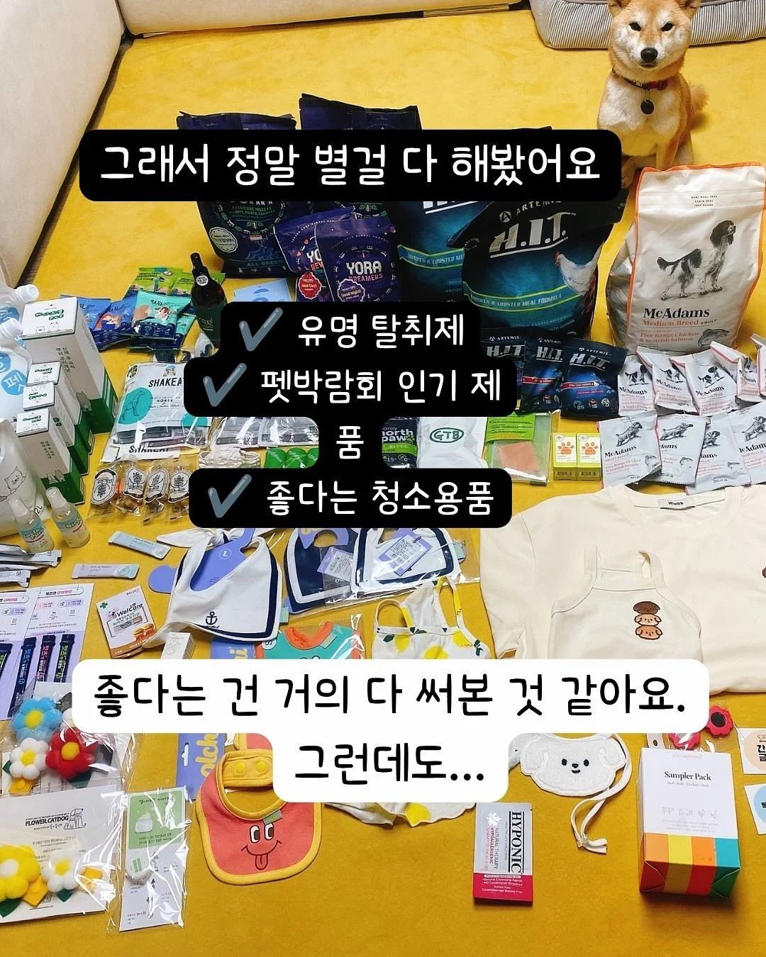 오랑쥬 비에누아 2