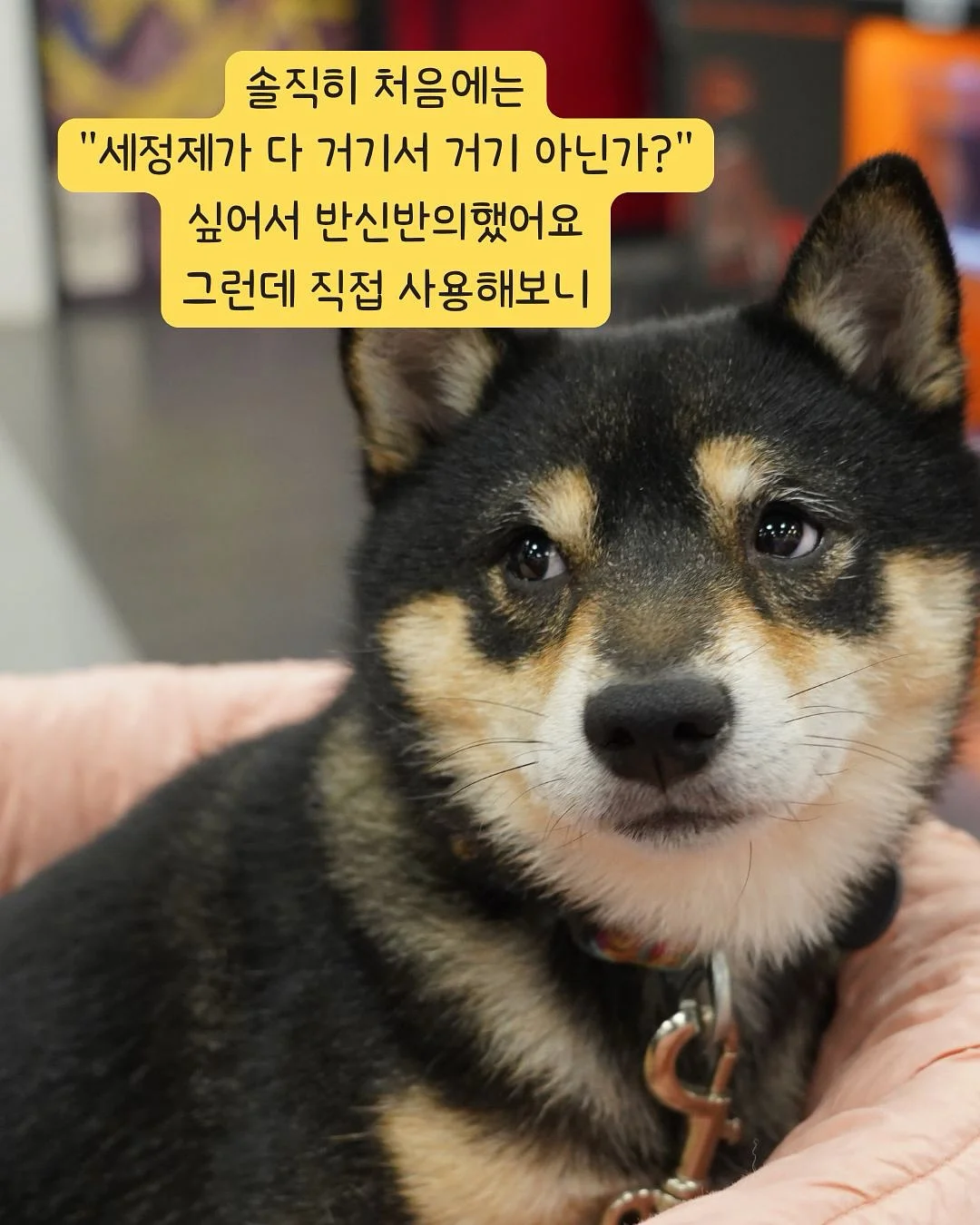 오랑쥬 비에누아 6