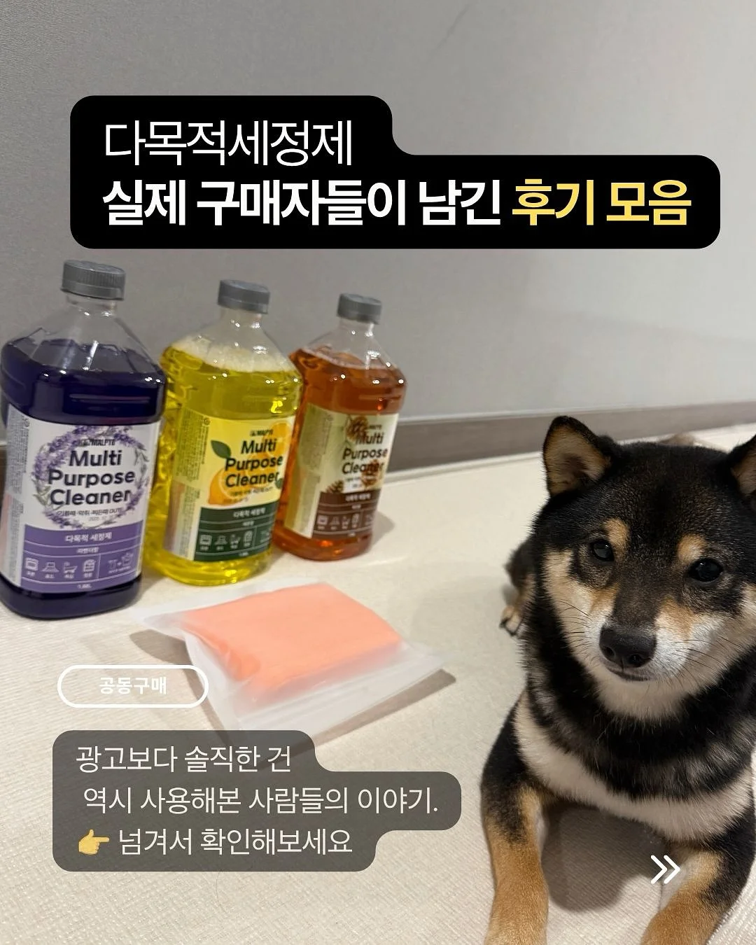 오랑쥬 비에누아 8