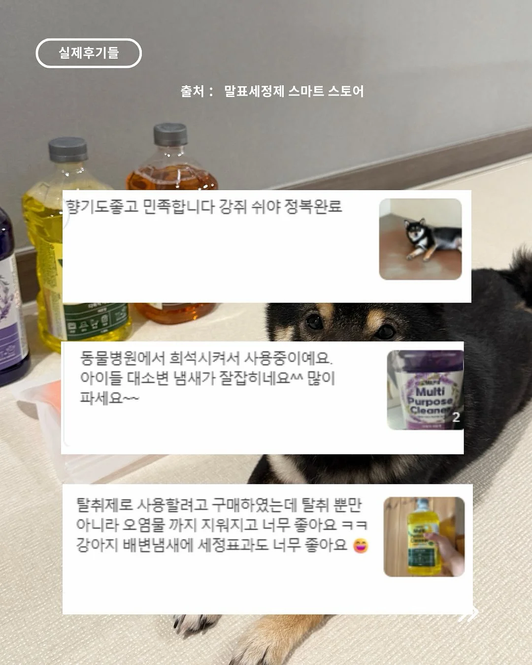 오랑쥬 비에누아 10