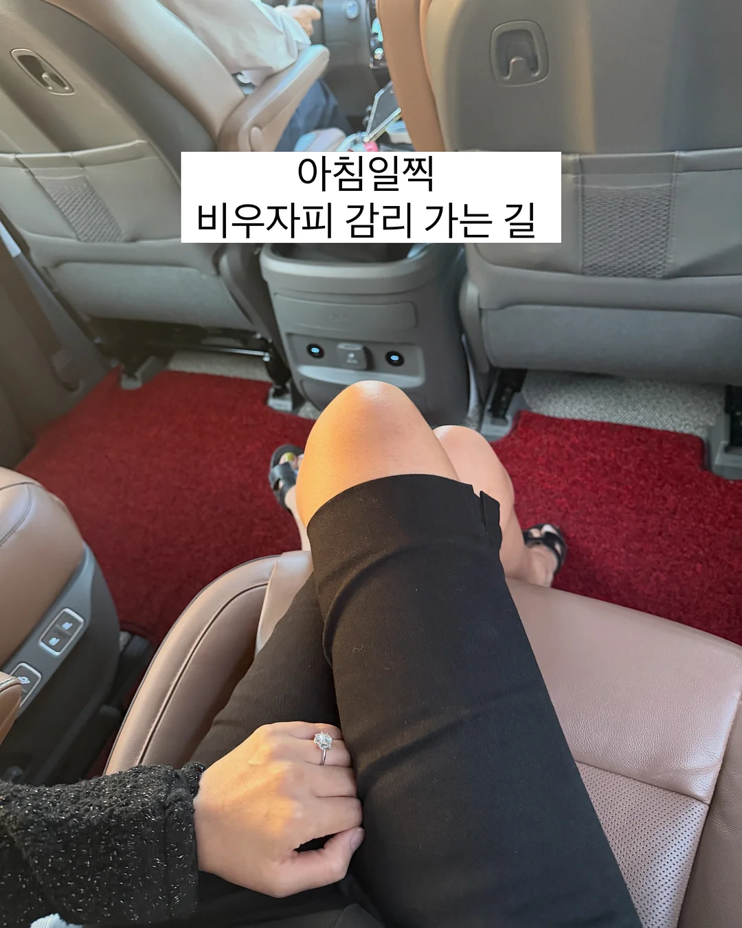 아프리카 식물 3