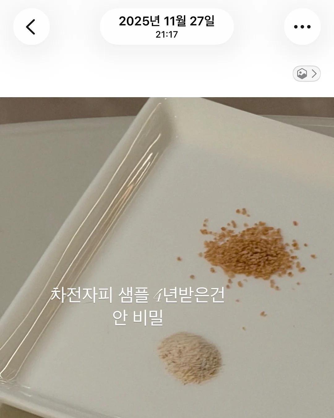 아프리카 식물 9