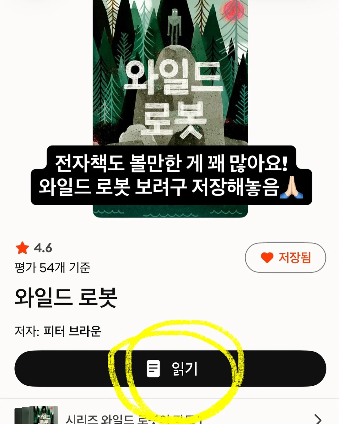 리브샌들 12