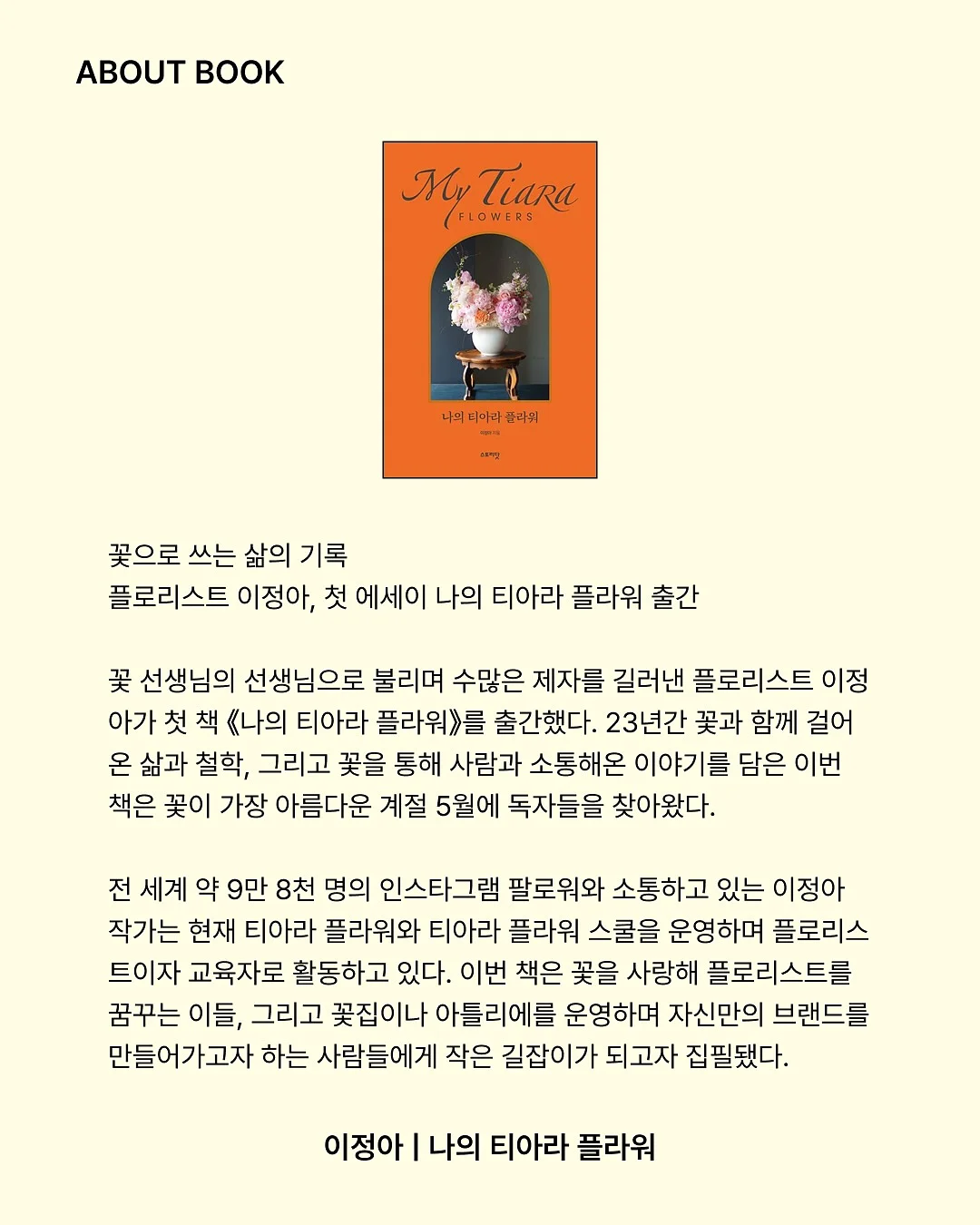 언더 바스켓 5