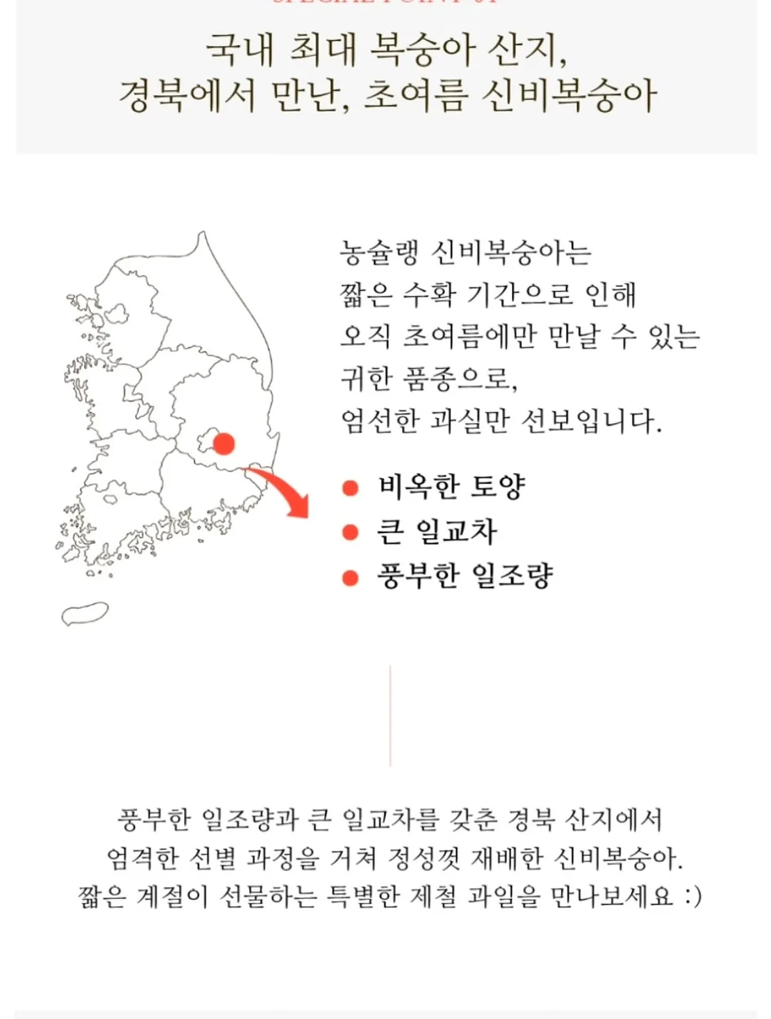 디그린 브랜디 숏팬츠 11