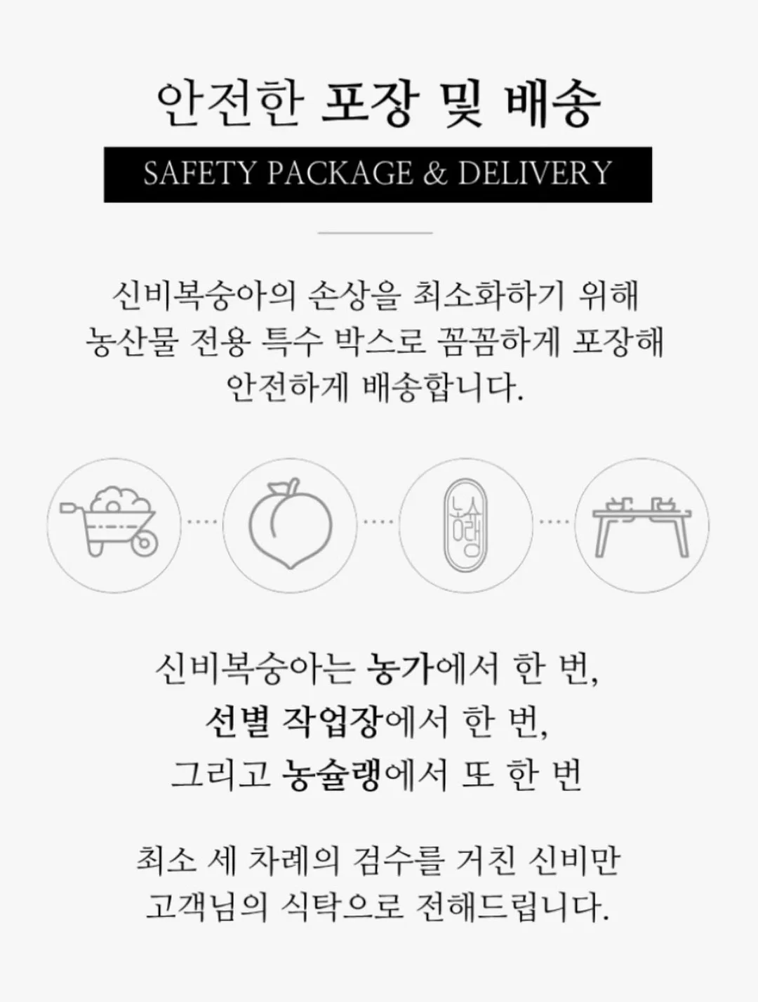 디그린 브랜디 숏팬츠 12