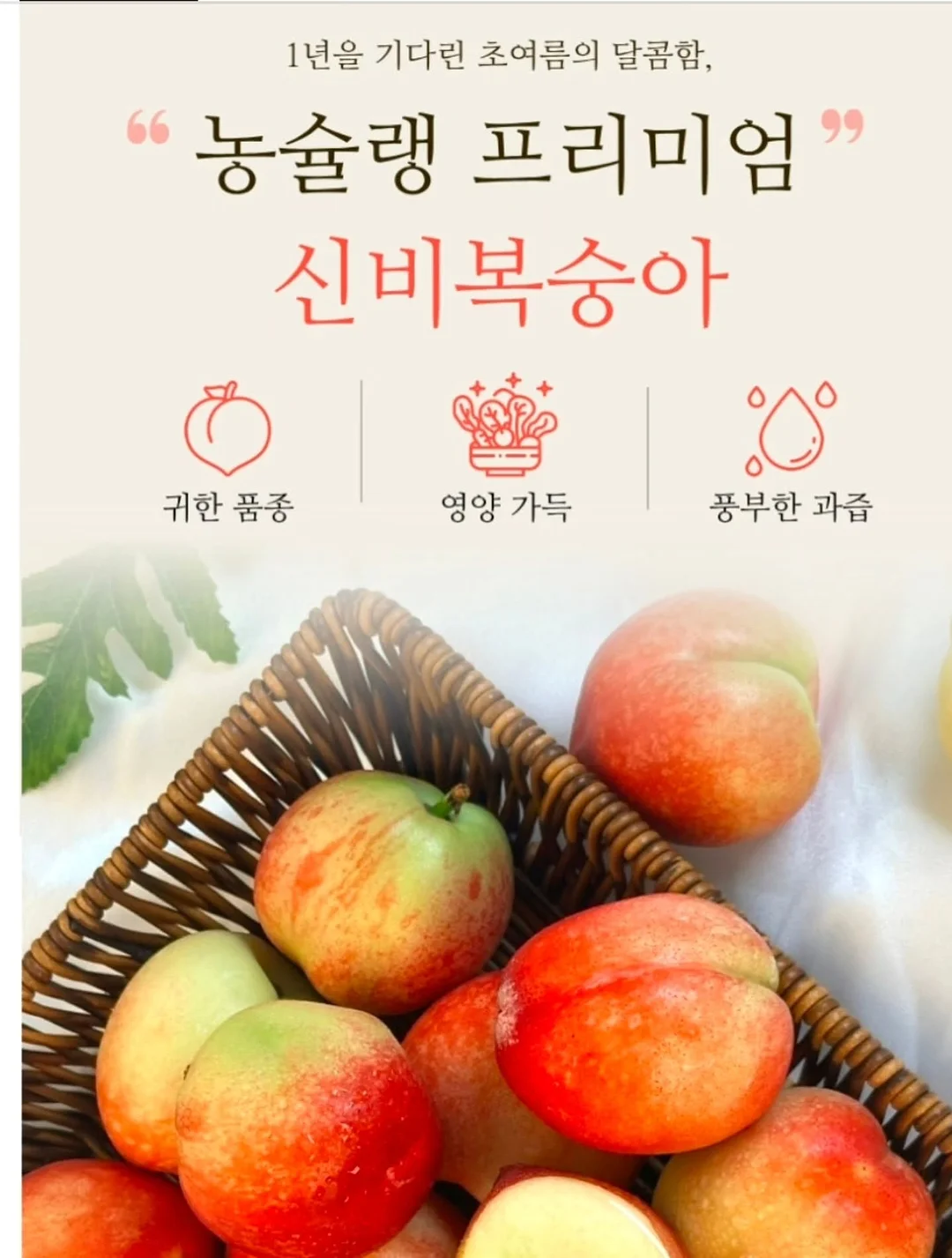 디그린 브랜디 숏팬츠 9