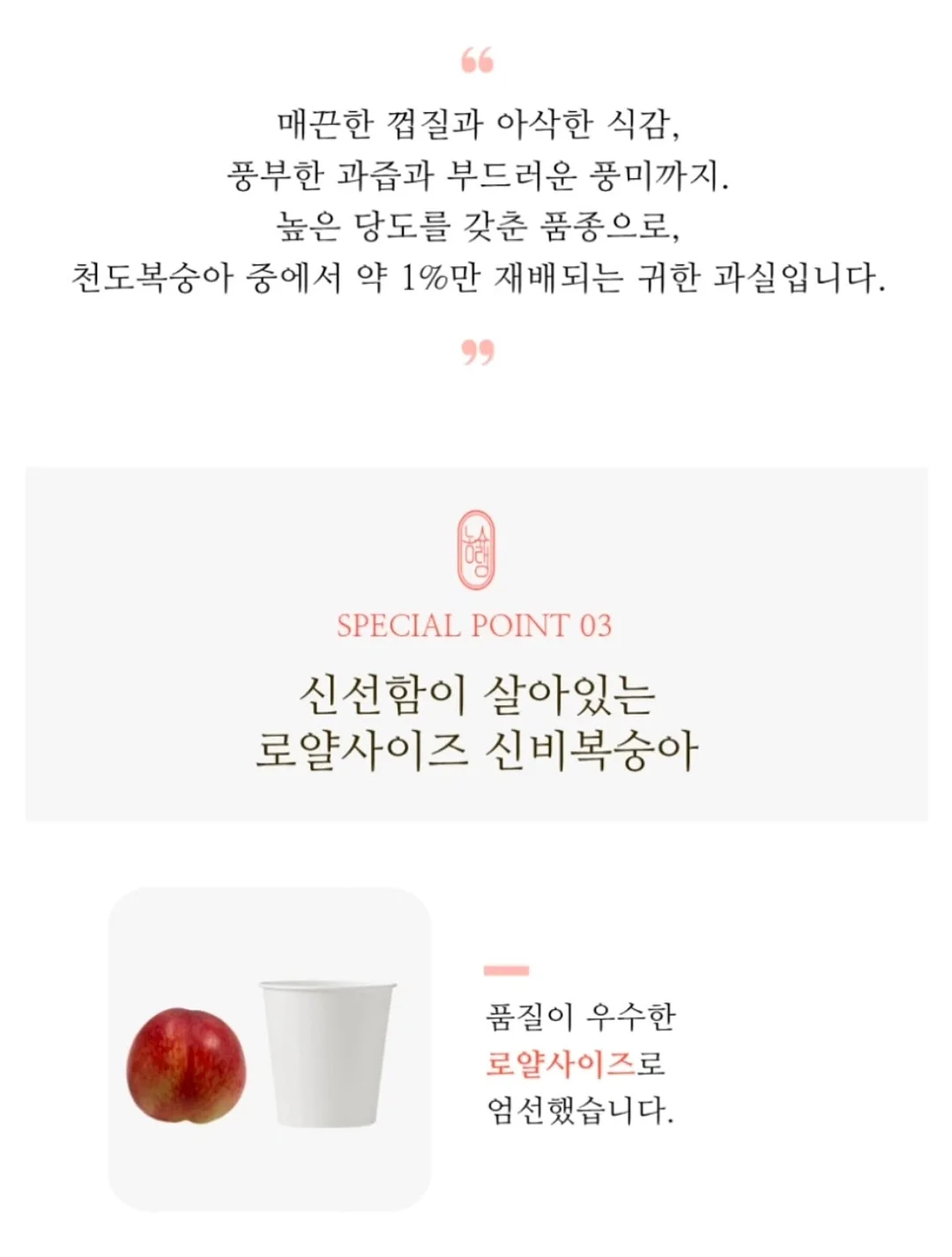 디그린 브랜디 숏팬츠 10
