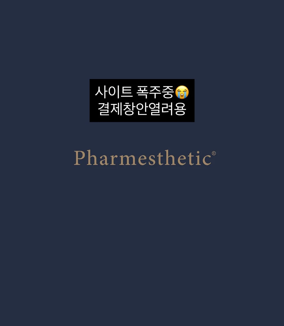 휴대용 선풍기 12