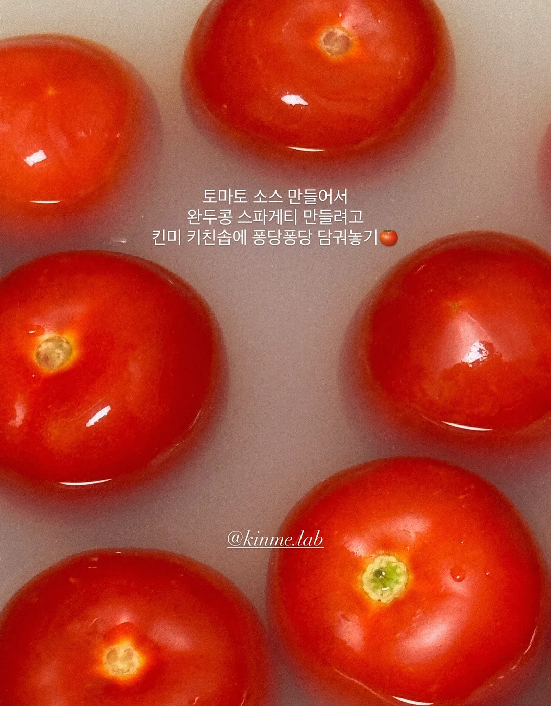 레벨릭스 똑똑 손놀이 소근육 발달세트 3종 4