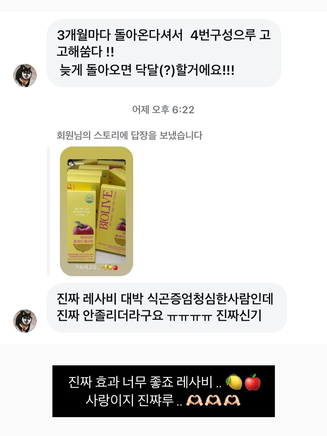 Pippit 발표자료 제작 꿀팁 13
