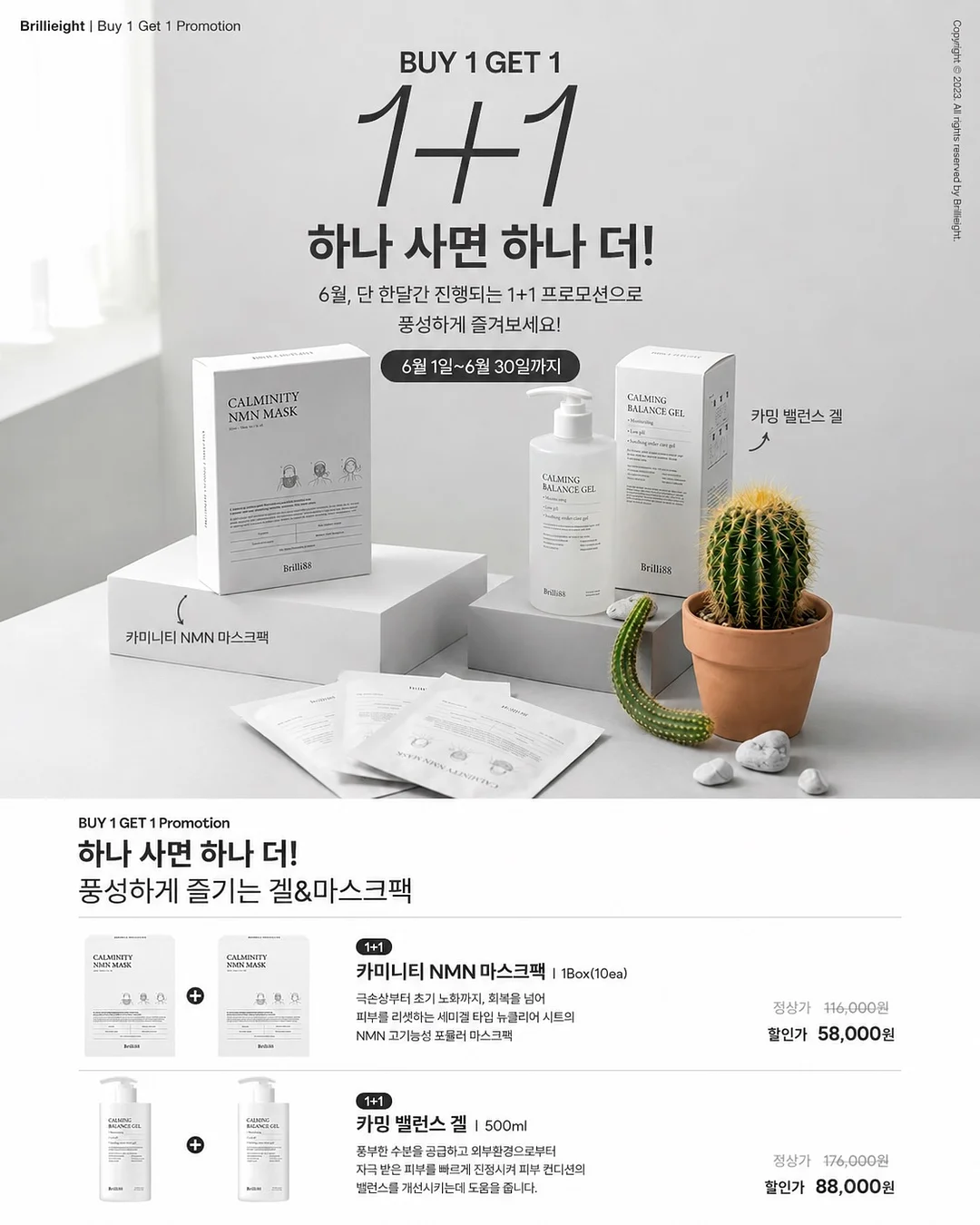 브레인올로지 오메가3 1
