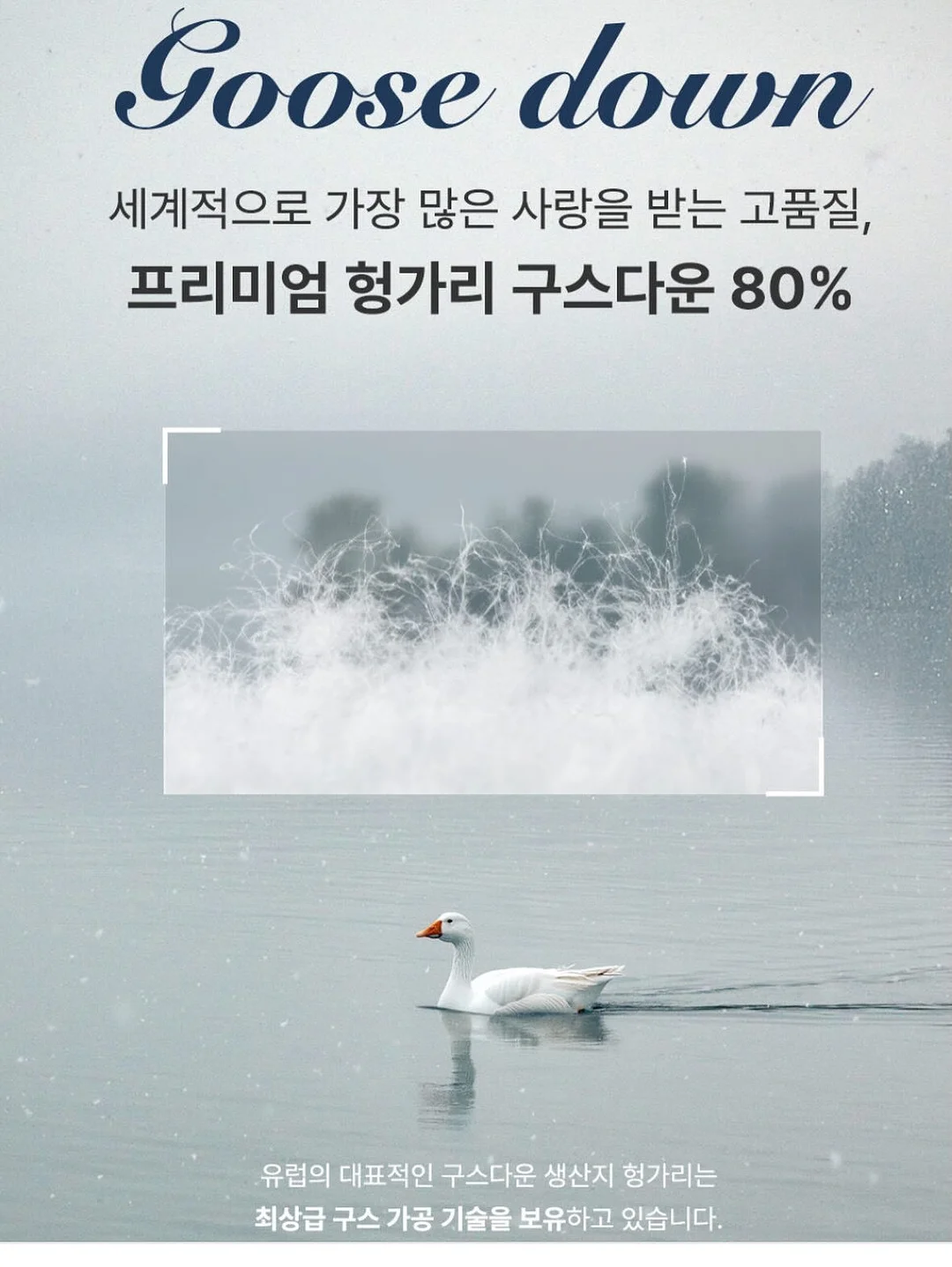 리본샌들 8