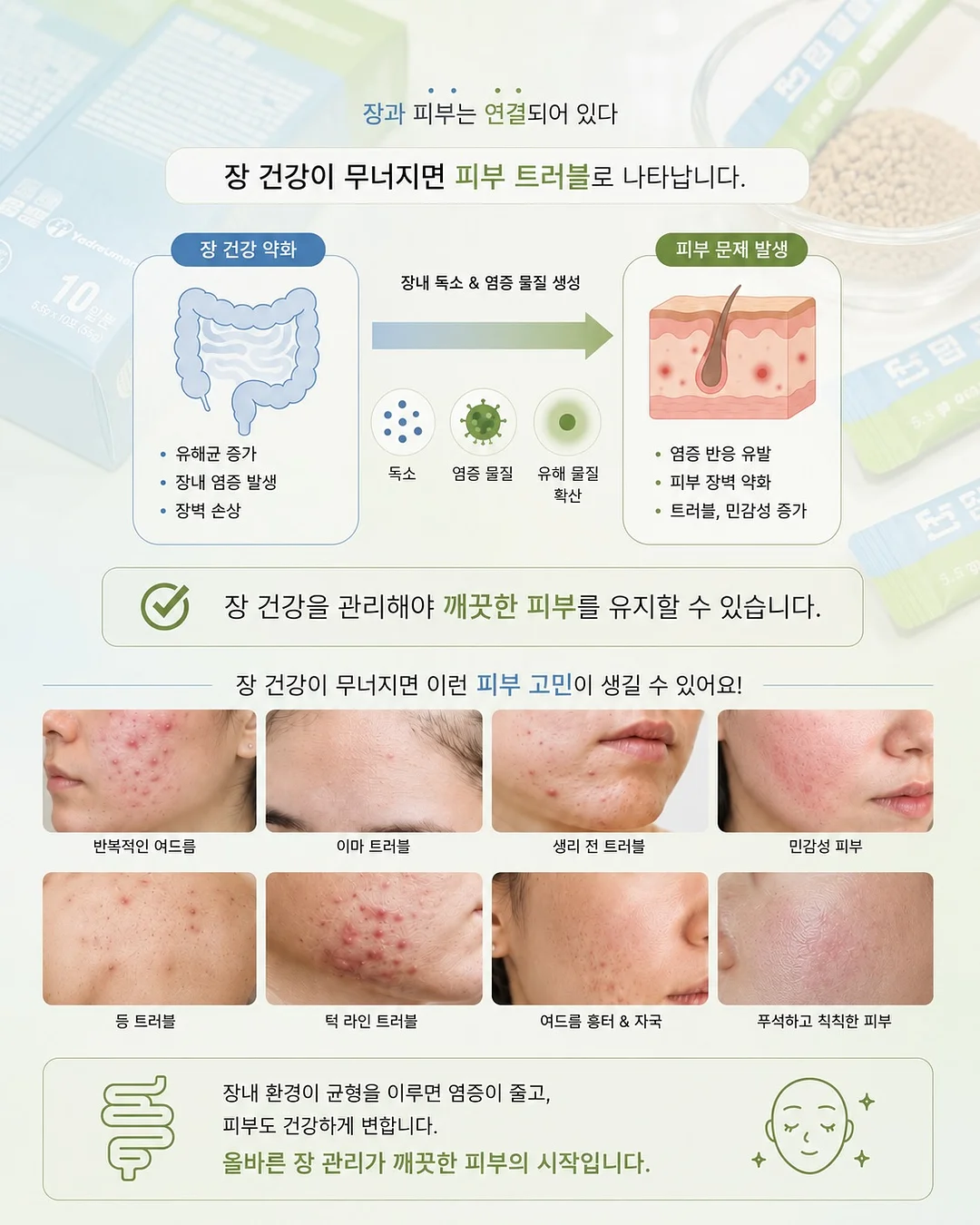 슈로스도어 7