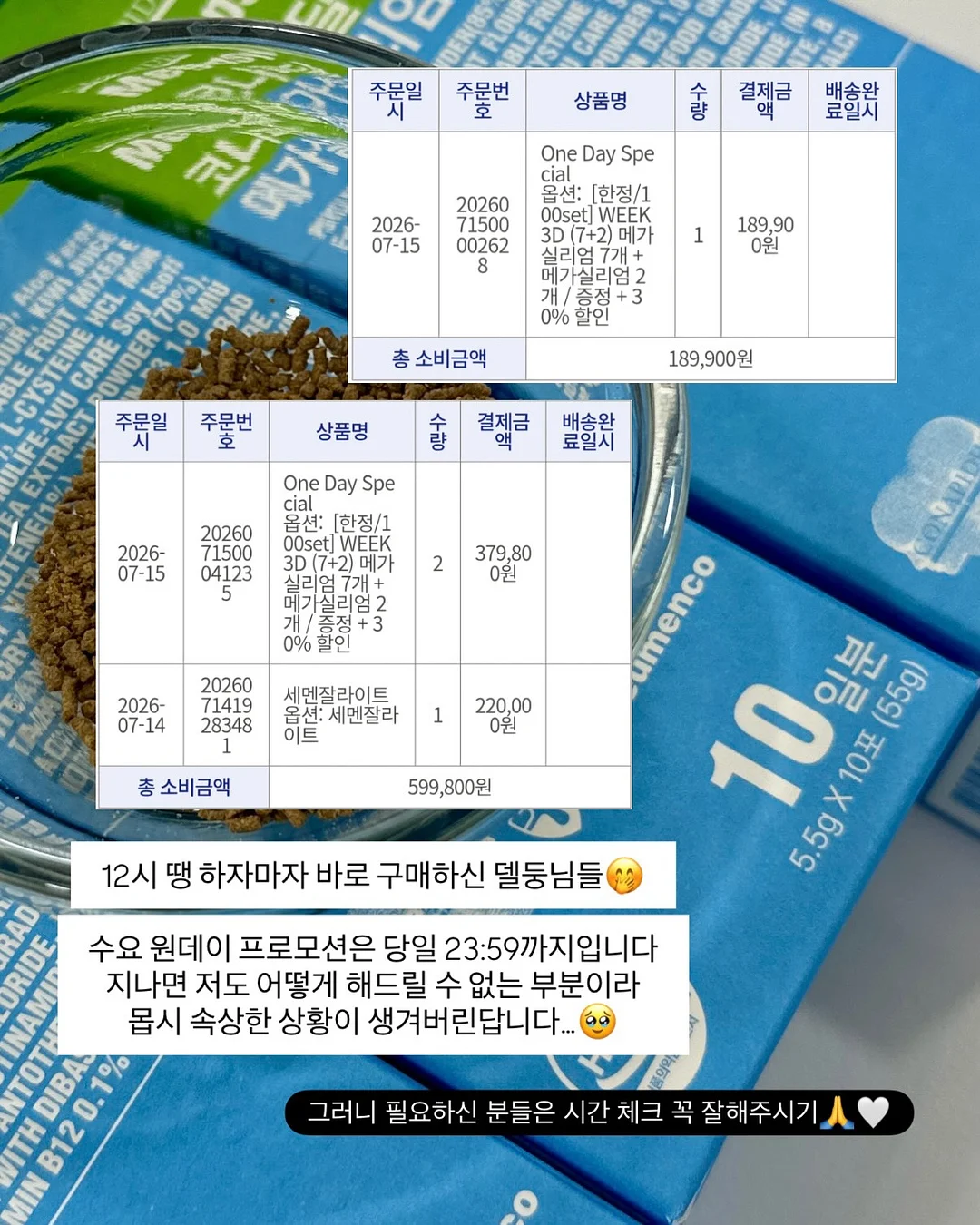 슈로스도어 8