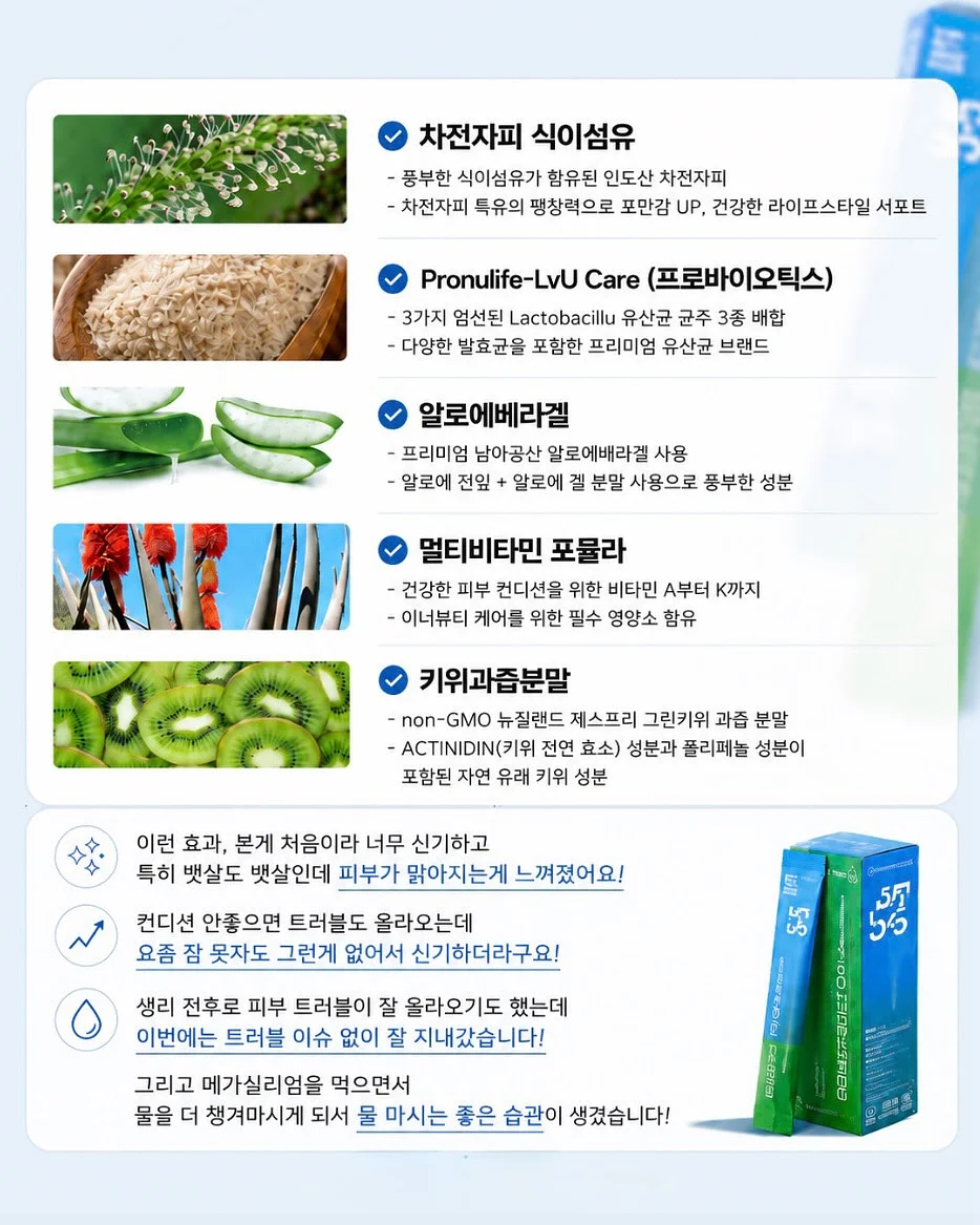 슈로스도어 9