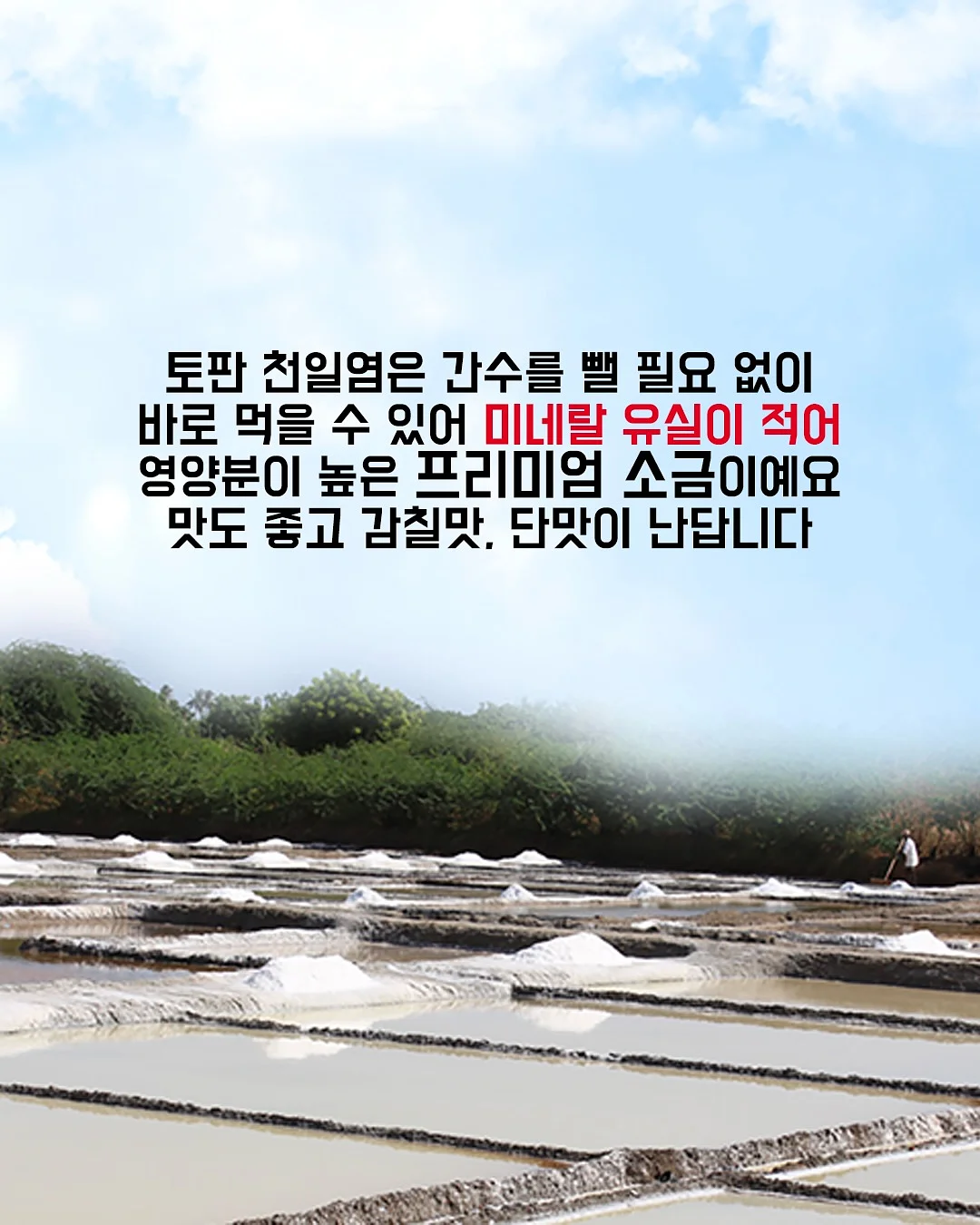 다이어트 식품 4