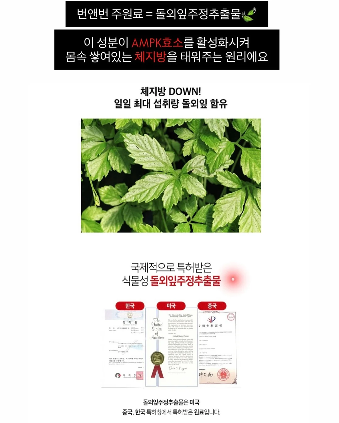 안경 7