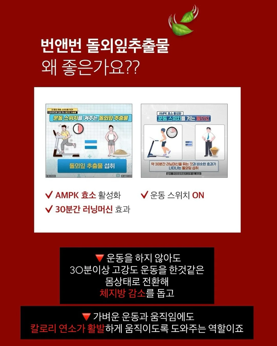안경 8
