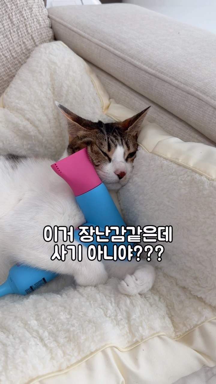 데일리룩 코디 모음집
