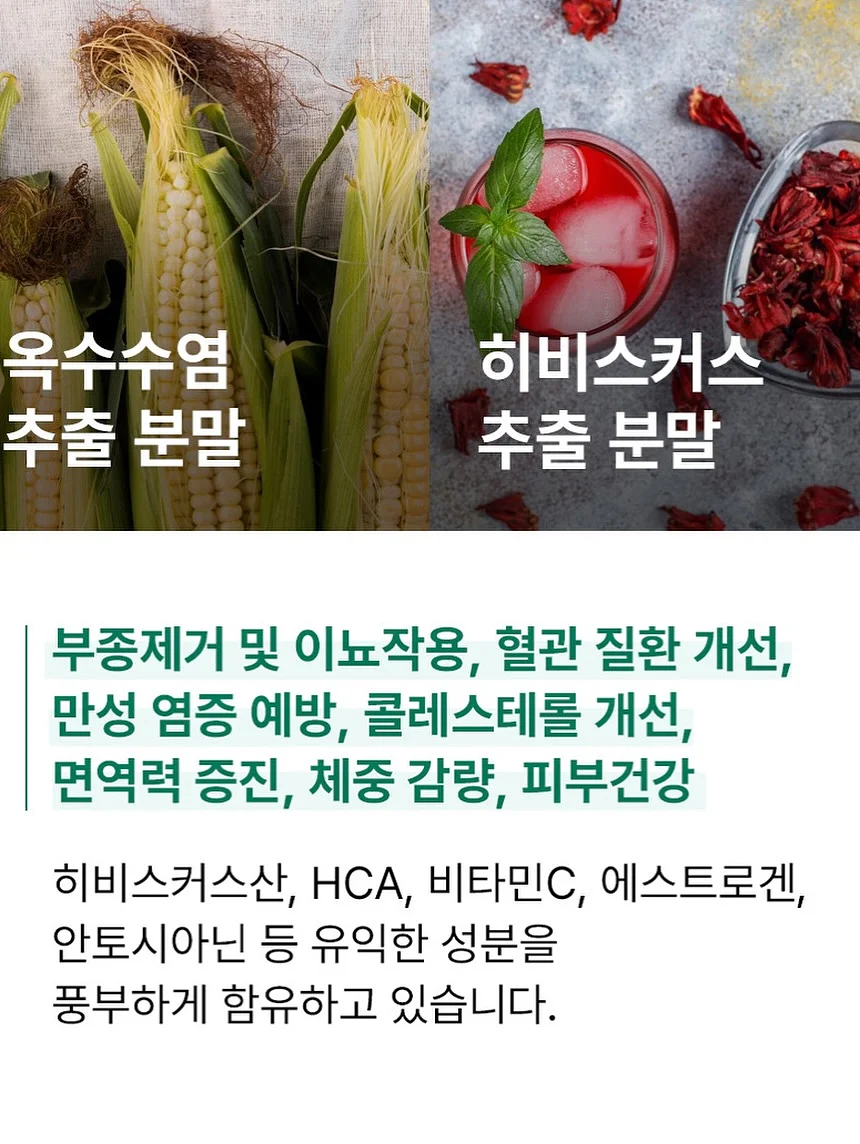 브라운브레스 로고 반팔티 18