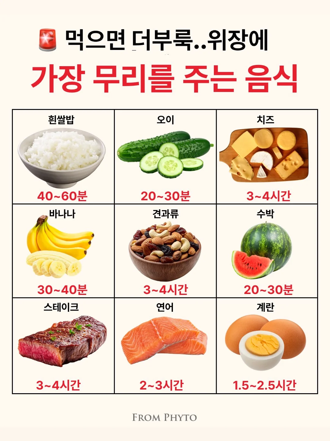에끌 촤르르 속바지&나시 세트 1