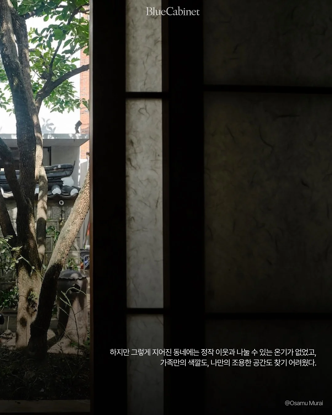 마음에 남은 엄마의 그림자 4