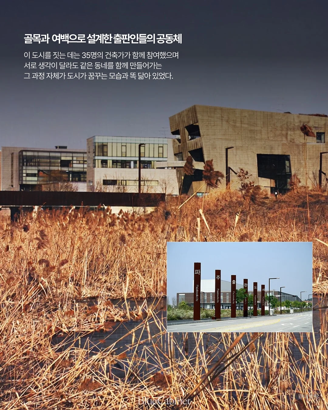 마음에 남은 엄마의 그림자 9