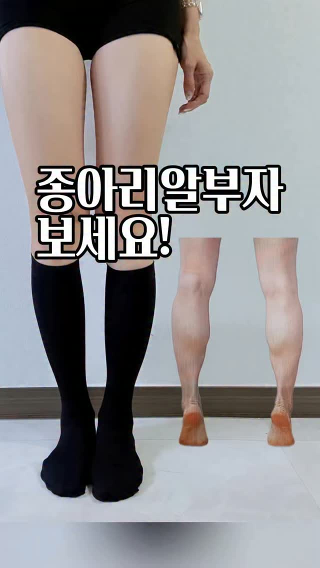 메인스토리