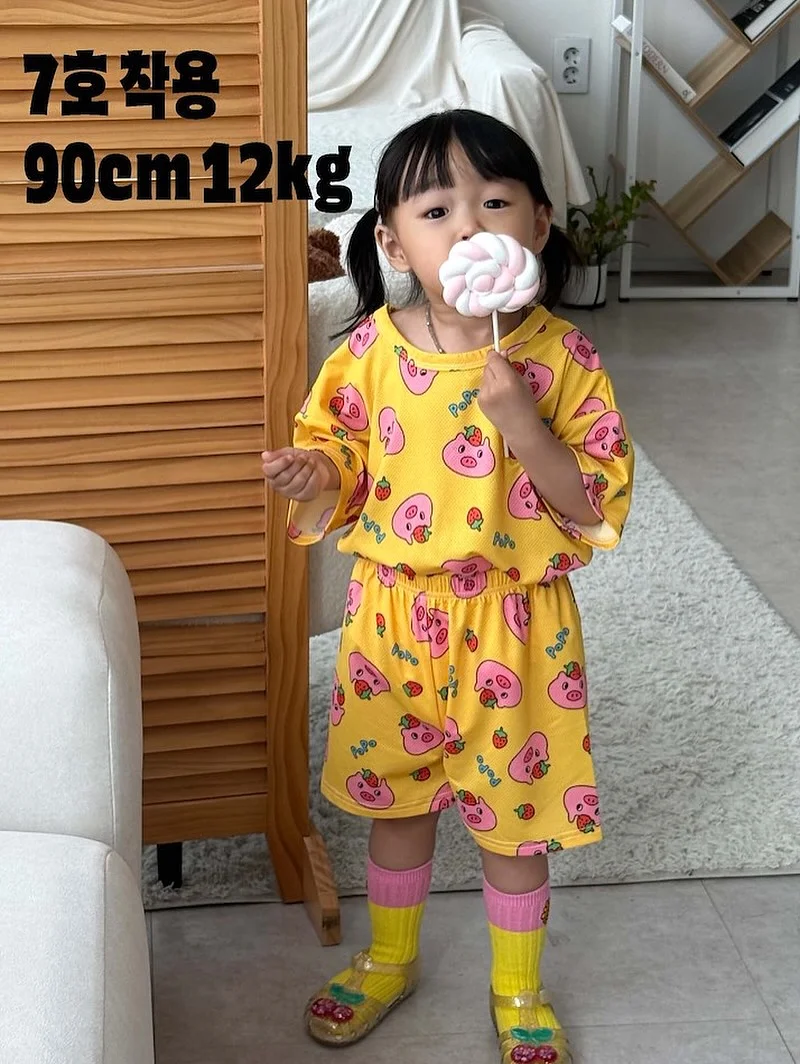 제주 노지 감귤 12