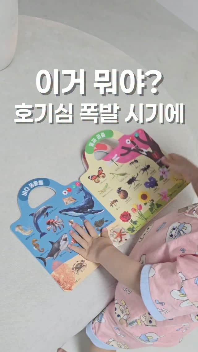 NFL 바람막이 레드블루
