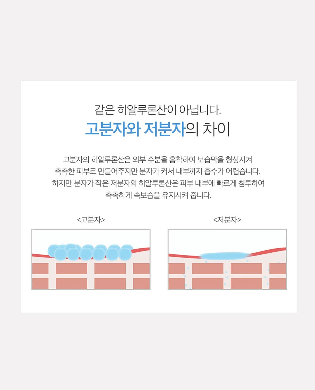 제니 모자 5
