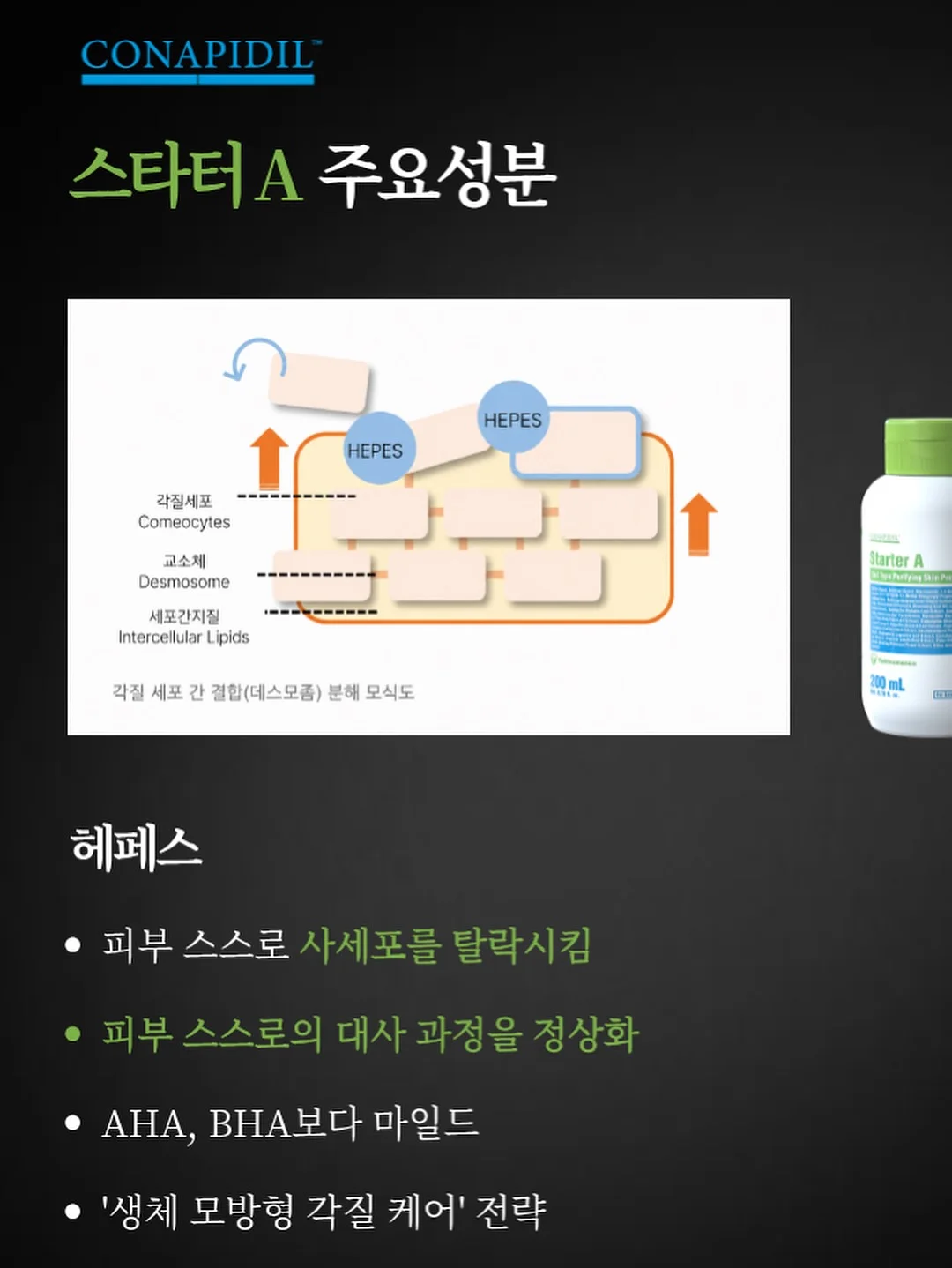 리즈셔츠 10