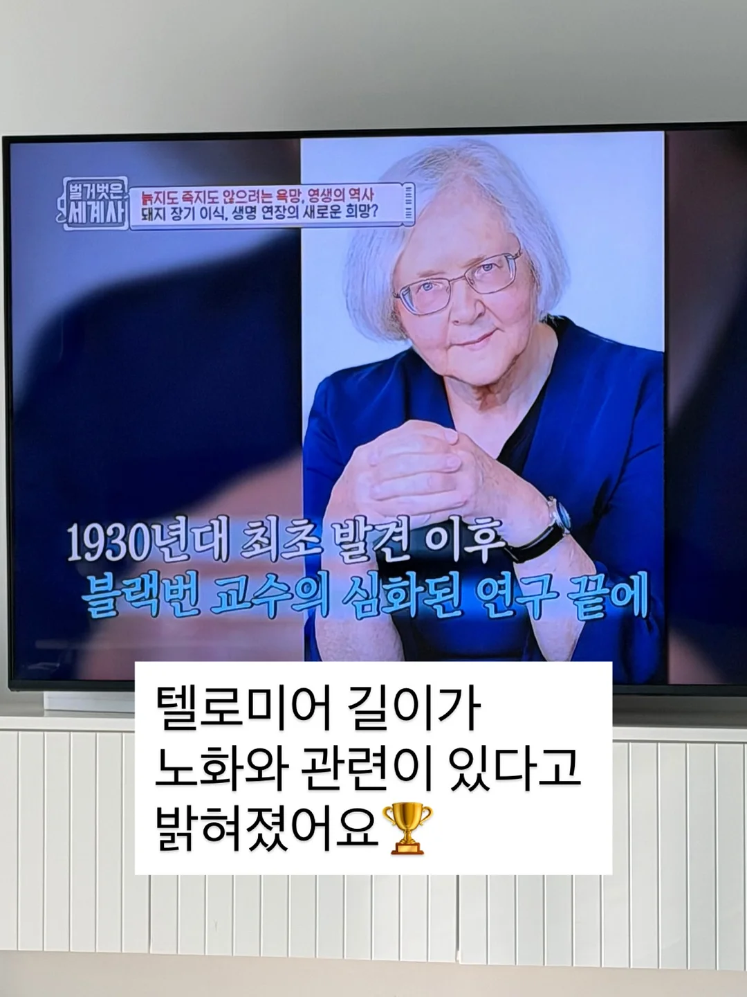 도어스토퍼 5