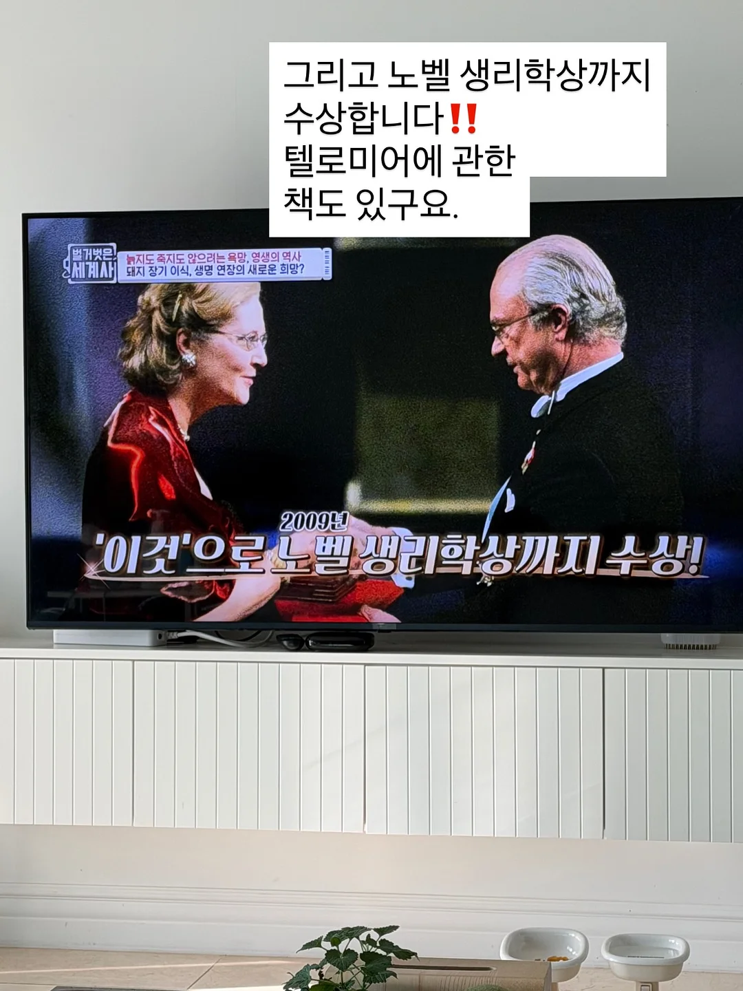 도어스토퍼 6