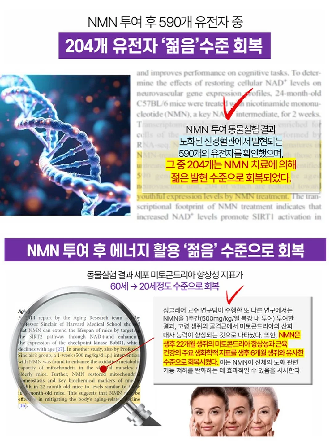 도어스토퍼 10