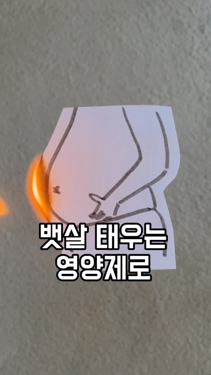 고양이 반팔티 & 원피스