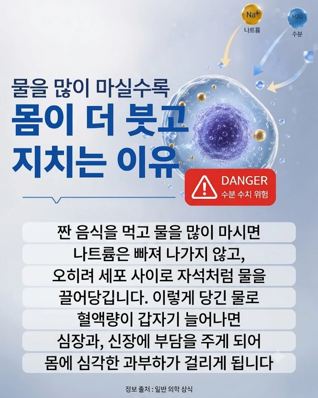 노루와 매직오프 셀프페인팅 2