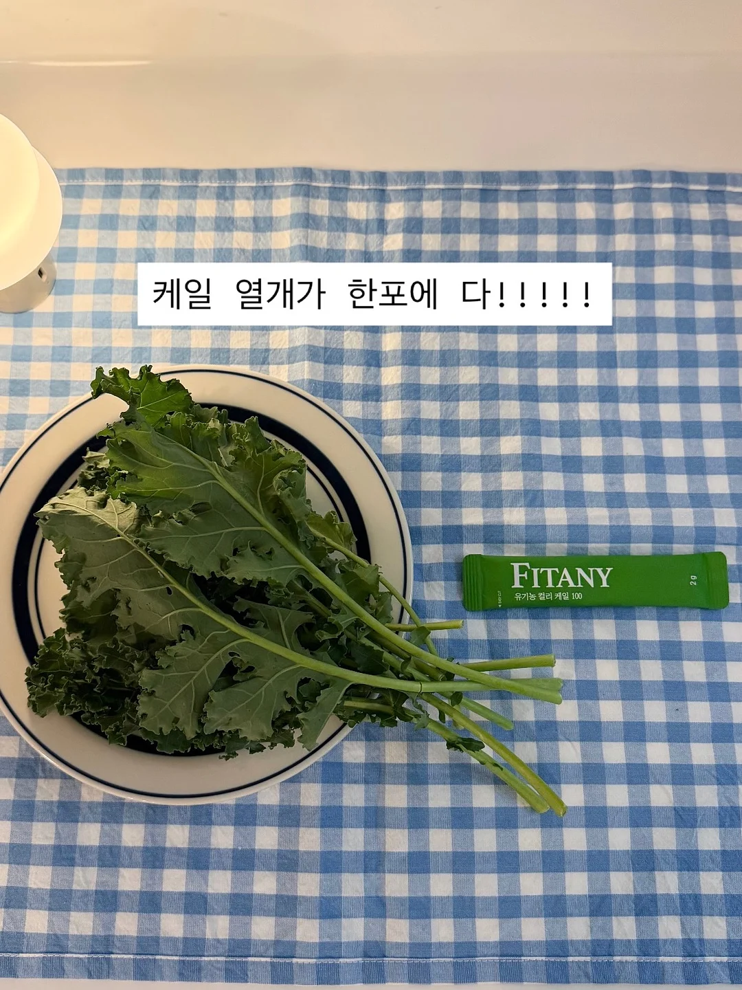 살로몬 운동화 12