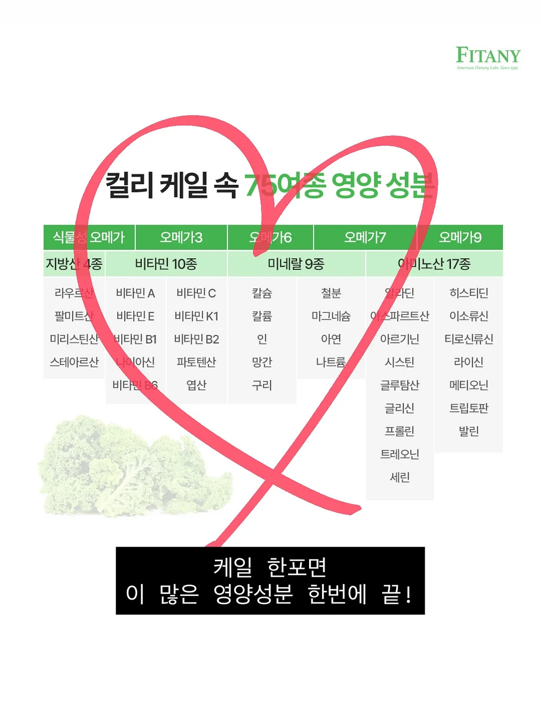 살로몬 운동화 17